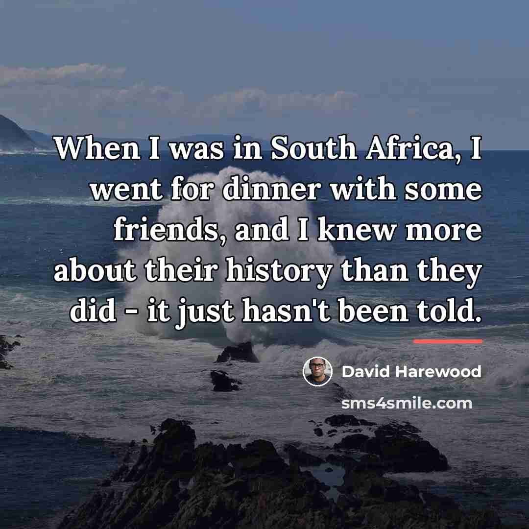 “When I was in South Africa, I went for dinner…” quote by David Harewood