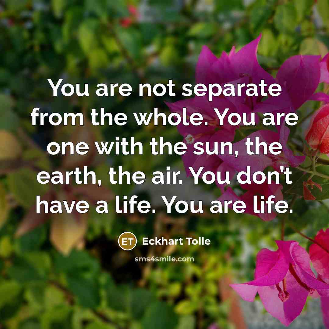 “You are not separate from the whole. You are one…” quote by Eckhart Tolle