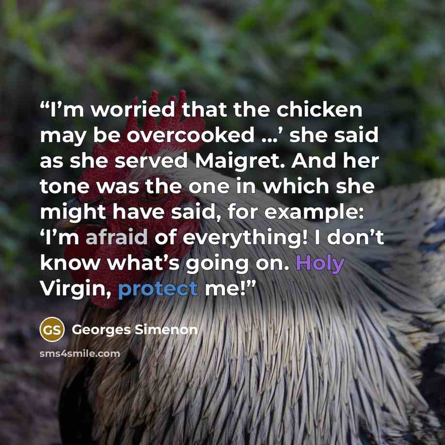 “I’m worried that the chicken may be overcooked …’ she said as she served Maigret. And her tone was the one in which she might have said, for example: ‘I’m afraid of everything! I don’t know what’s going on. Holy Virgin, protect me!” quote by Georges Simenon