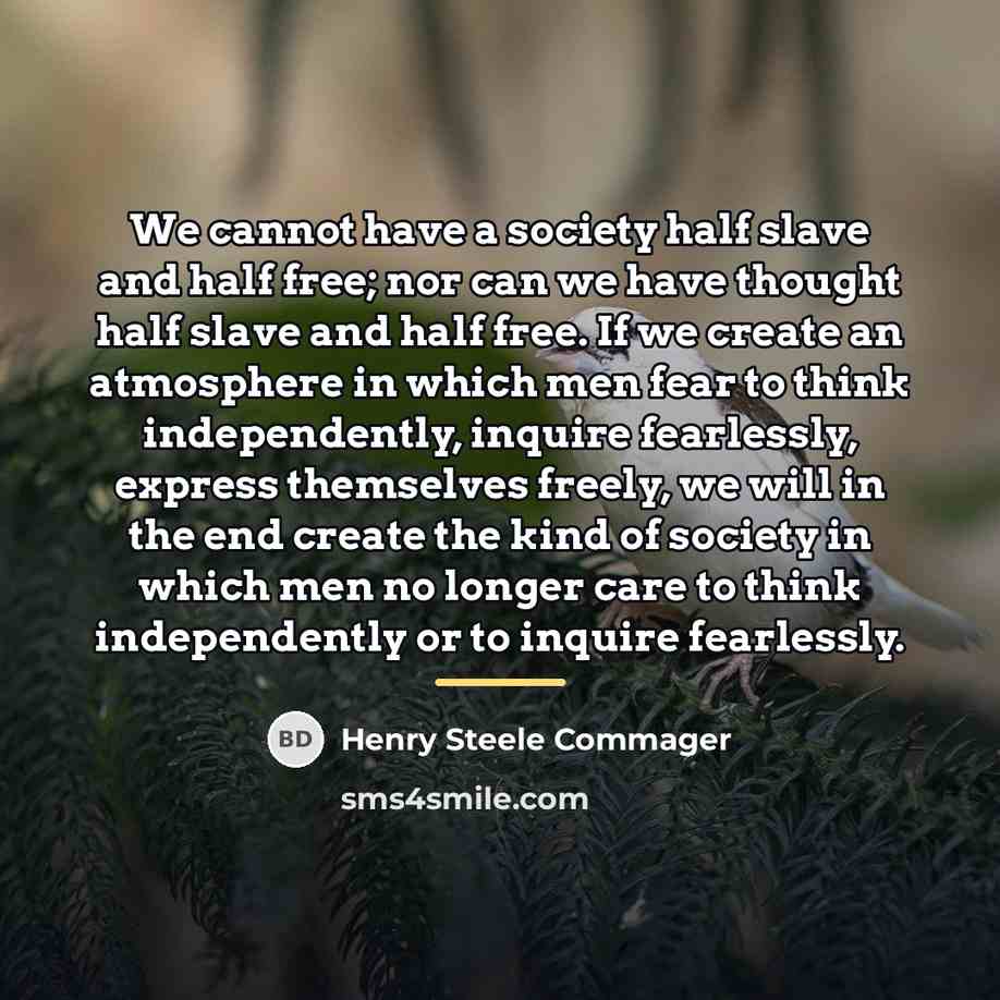 “We cannot have a society half slave and half free;…” quote by Henry Steele Commager