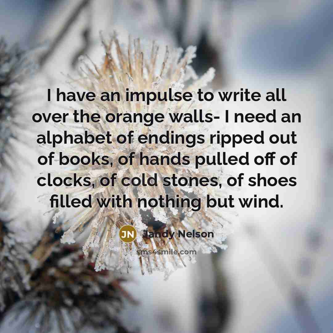 “I have an impulse to write all over the orange…” quote by Jandy Nelson
