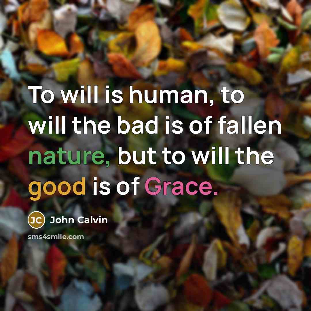 “To will is human, to will the bad is of…” quote by John Calvin