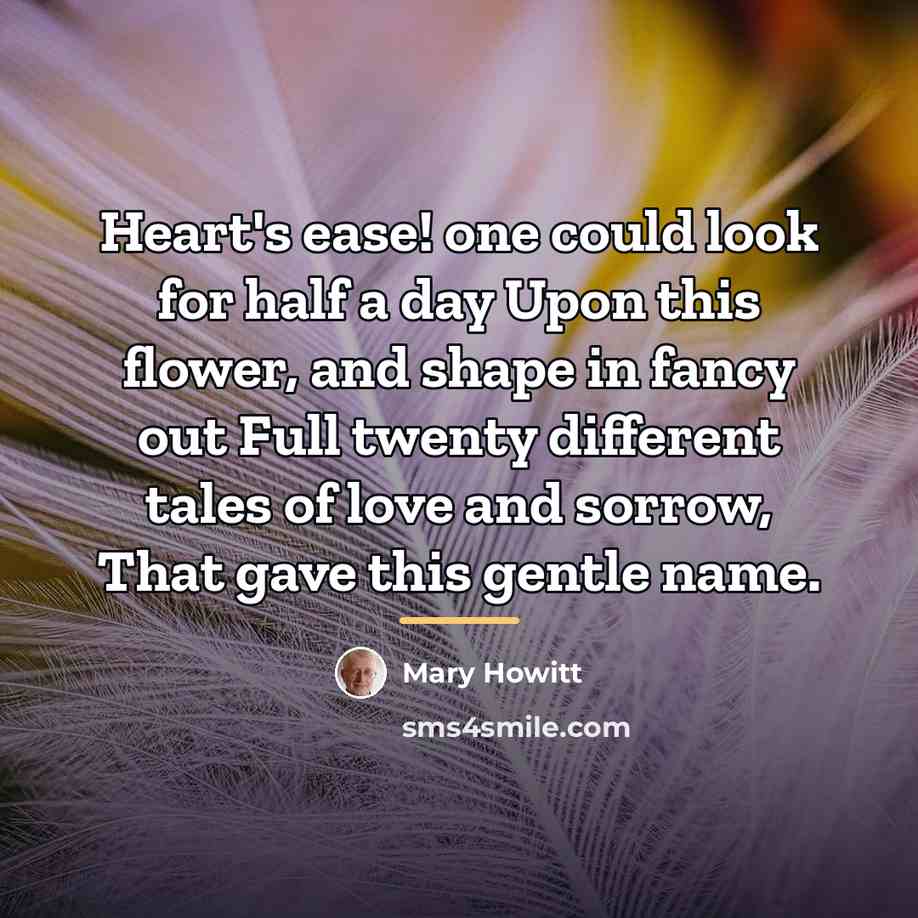 “Heart's ease! one could look for half a day Upon…” quote by Mary Howitt