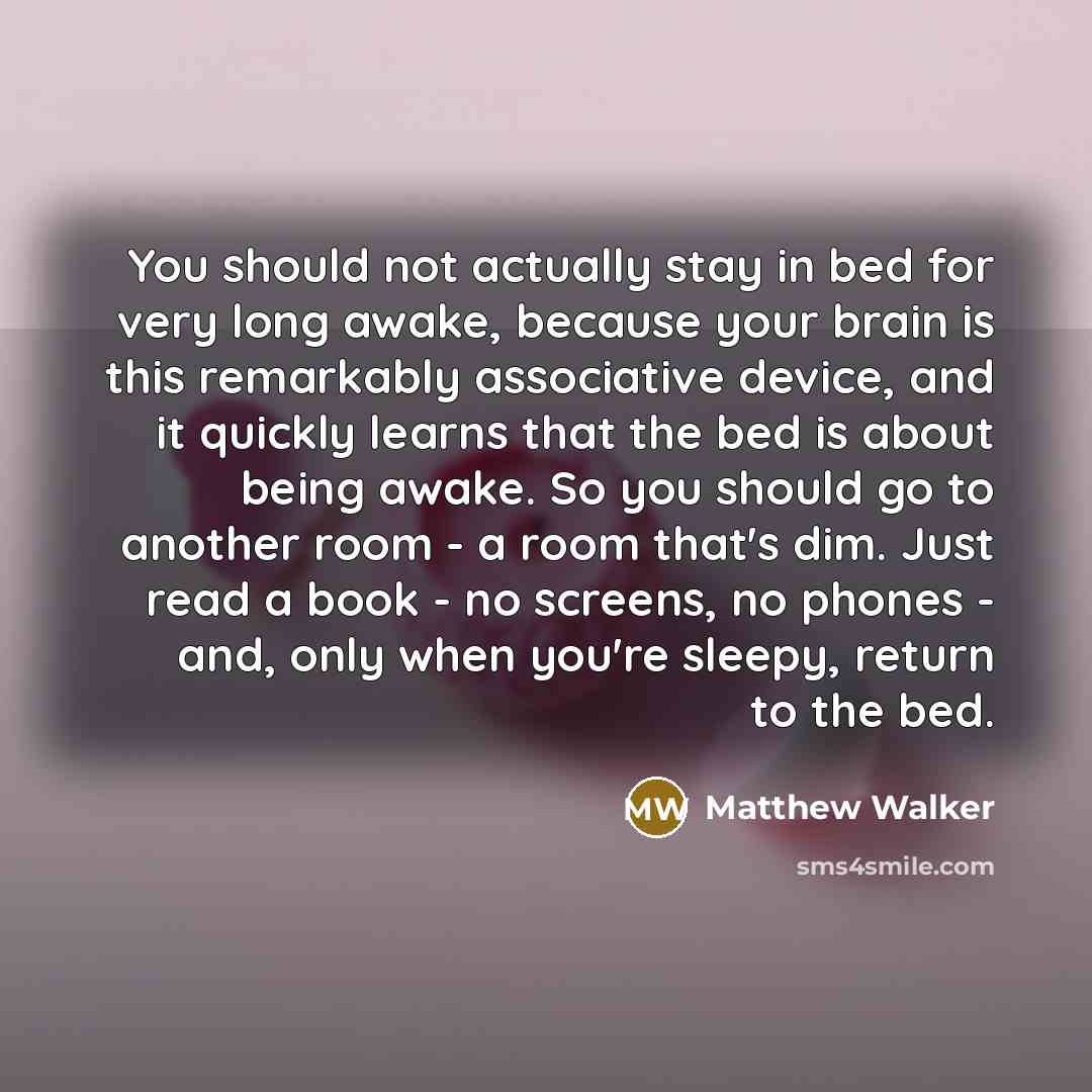 “You should not actually stay in bed for very long…” quote by Matthew Walker