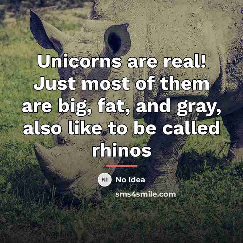 “Unicorns are real! Just most of them are big, fat,…” quote by No Idea