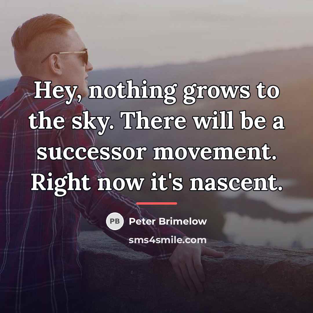 “Hey, nothing grows to the sky. There will be a…” quote by Peter Brimelow