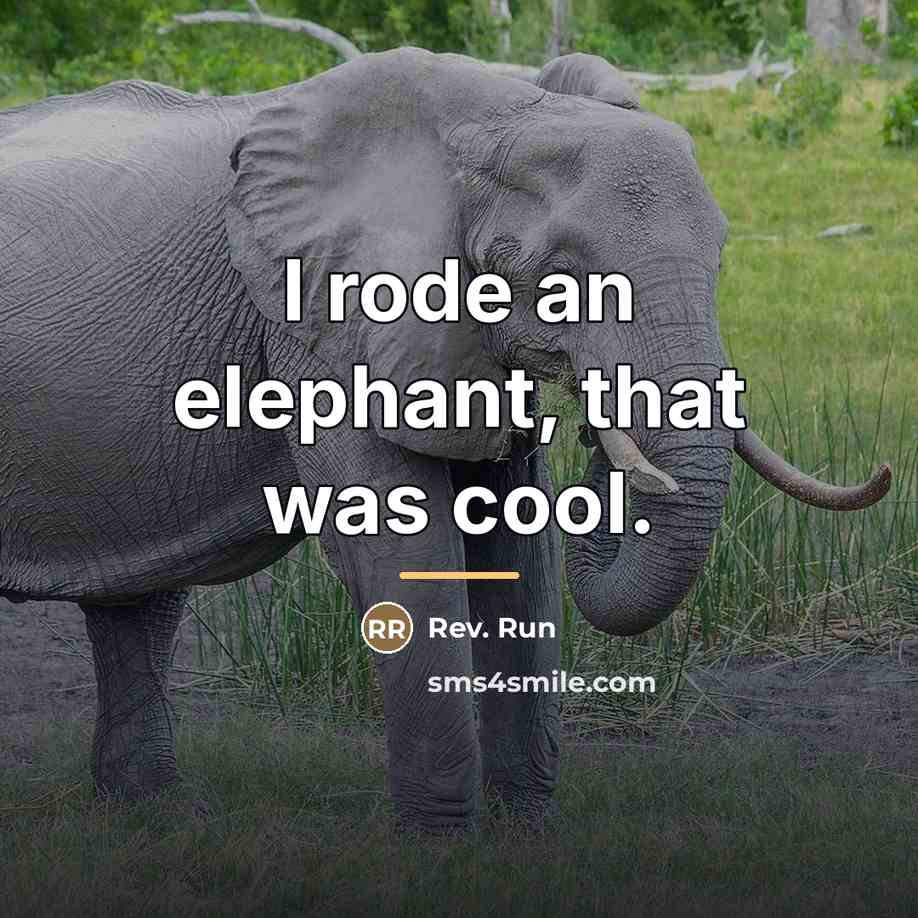 “I rode an elephant, that was cool.…” quote by Rev. Run