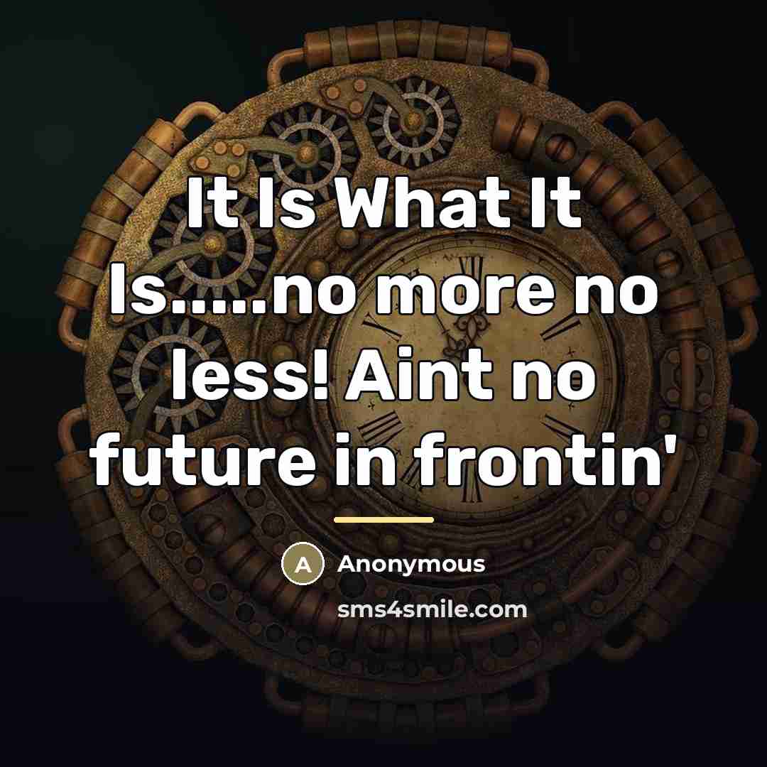 “It Is What It Is.....no more no less! Aint no…” quote by Anonymous