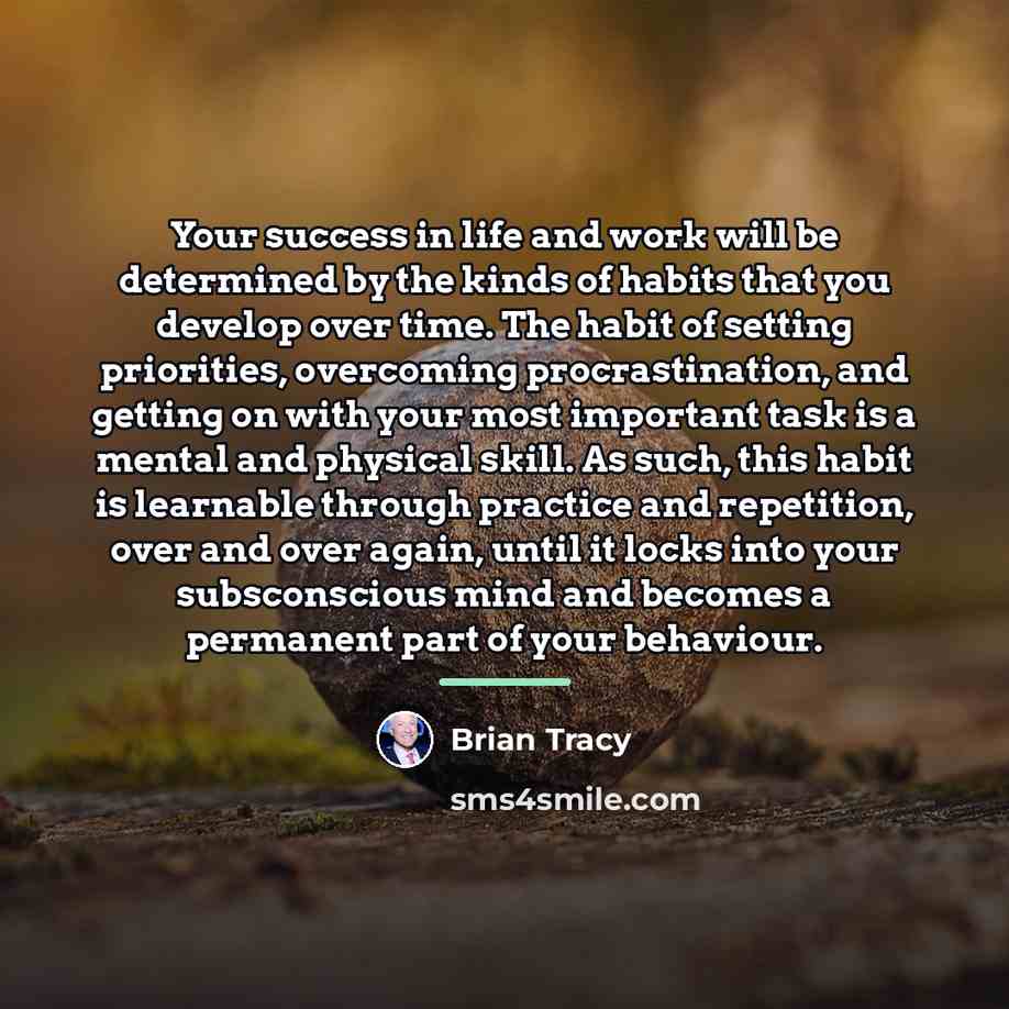 “Your success in life and work will be determined by…” quote by Brian Tracy