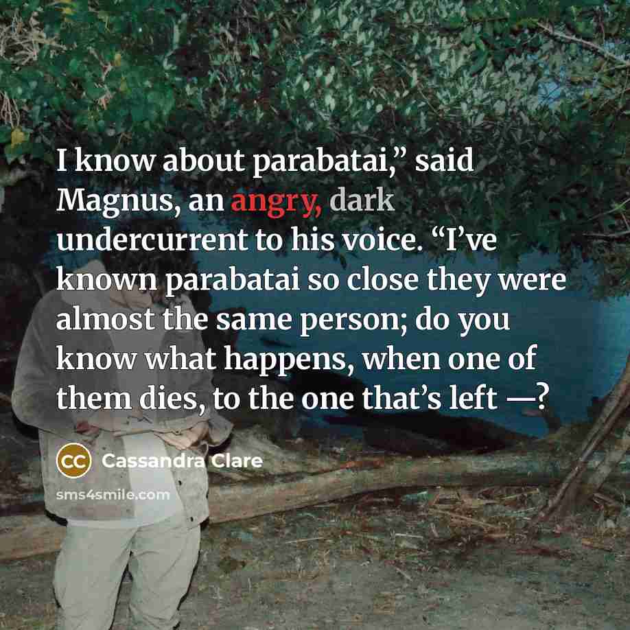 “I know about parabatai,” said Magnus, an angry, dark undercurrent…” quote by Cassandra Clare