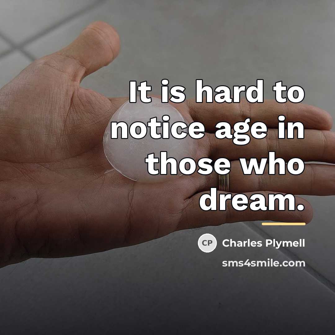 “It is hard to notice age in those who dream.…” quote by Charles Plymell