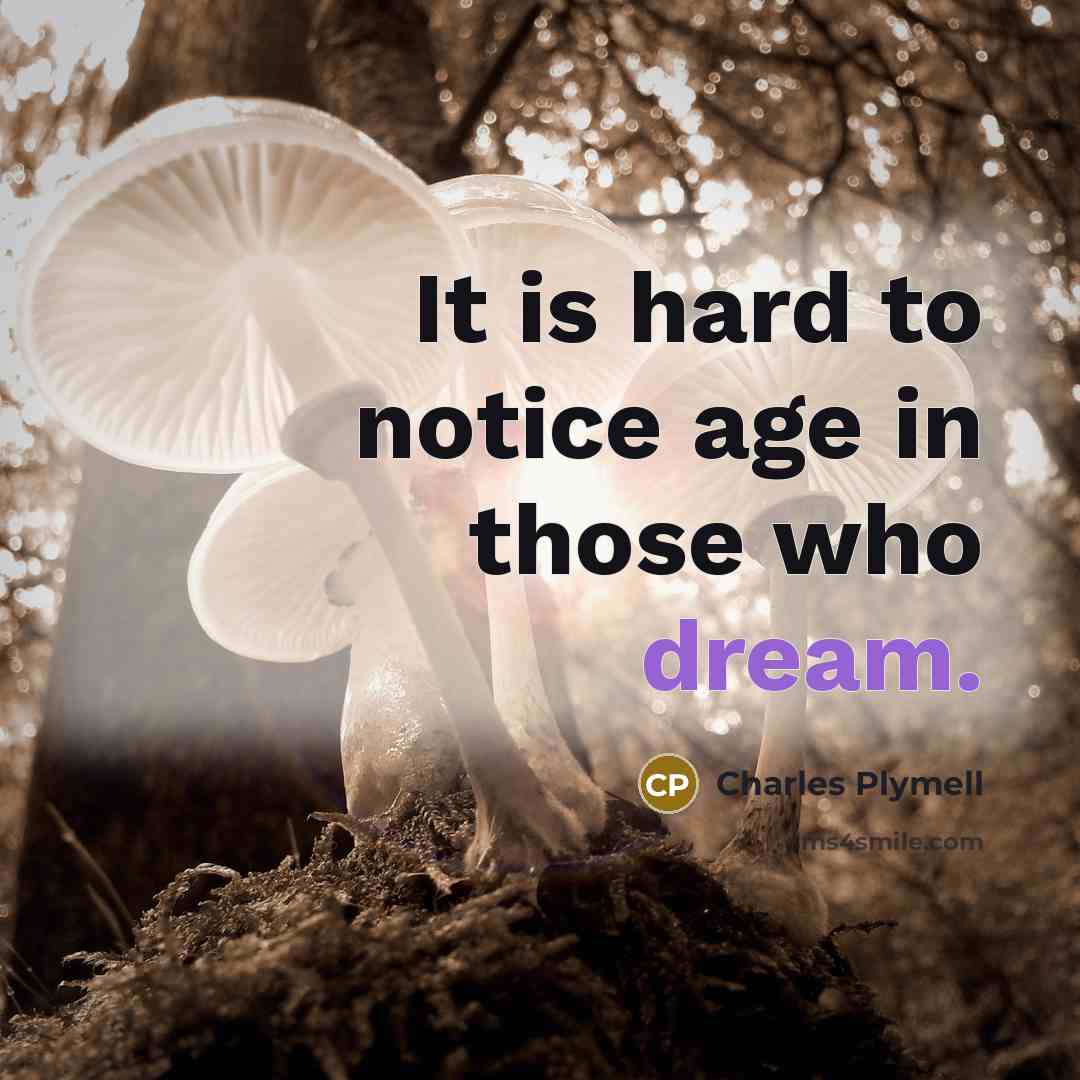 “It is hard to notice age in those who dream.” quote by Charles Plymell