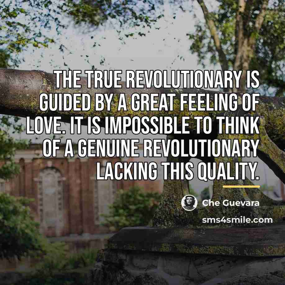 “The true revolutionary is guided by a great feeling of…” quote by Che Guevara