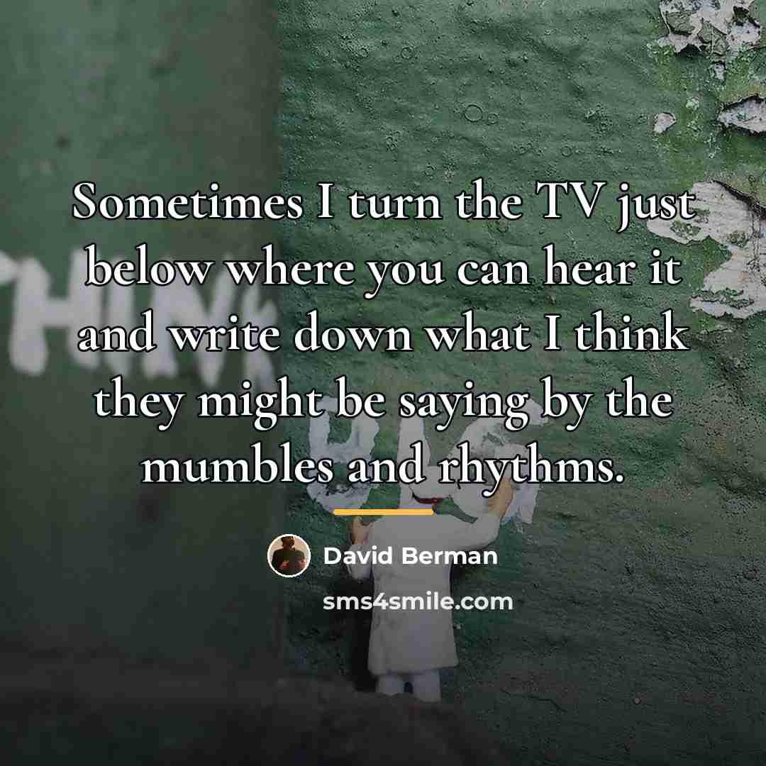 “Sometimes I turn the TV just below where you can…” quote by David Berman