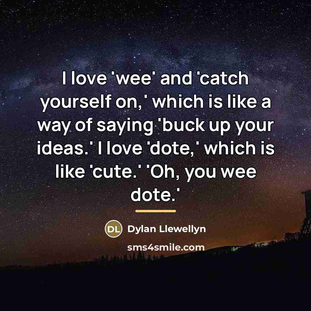 “I love 'wee' and 'catch yourself on,' which is like…” quote by Dylan Llewellyn