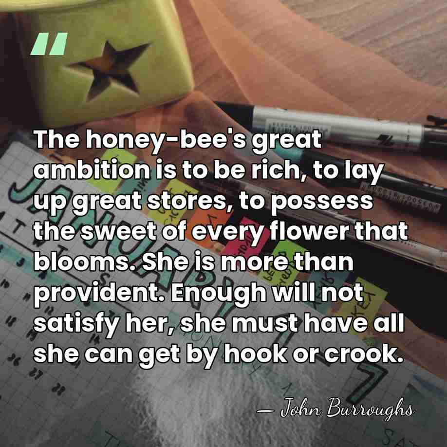 The honey-bee's great ambition is to be rich, to lay up great&hellip; - John Burroughs