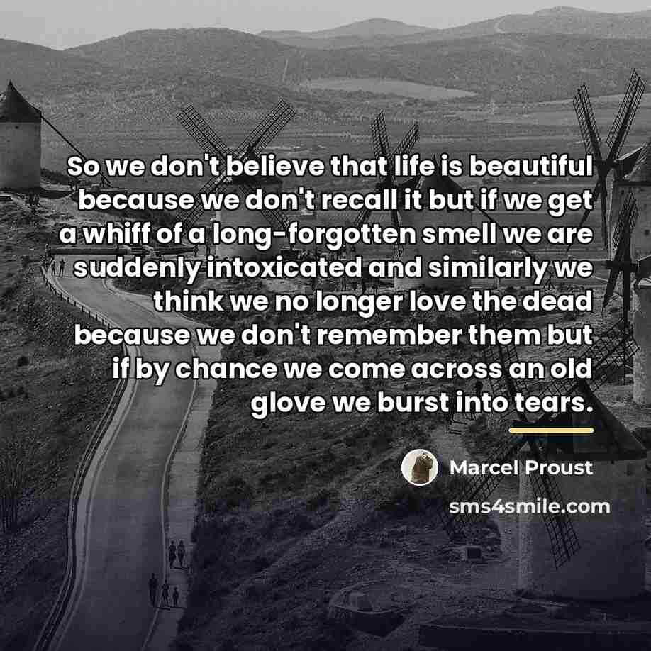 “So we don't believe that life is beautiful because we…” quote by Marcel Proust