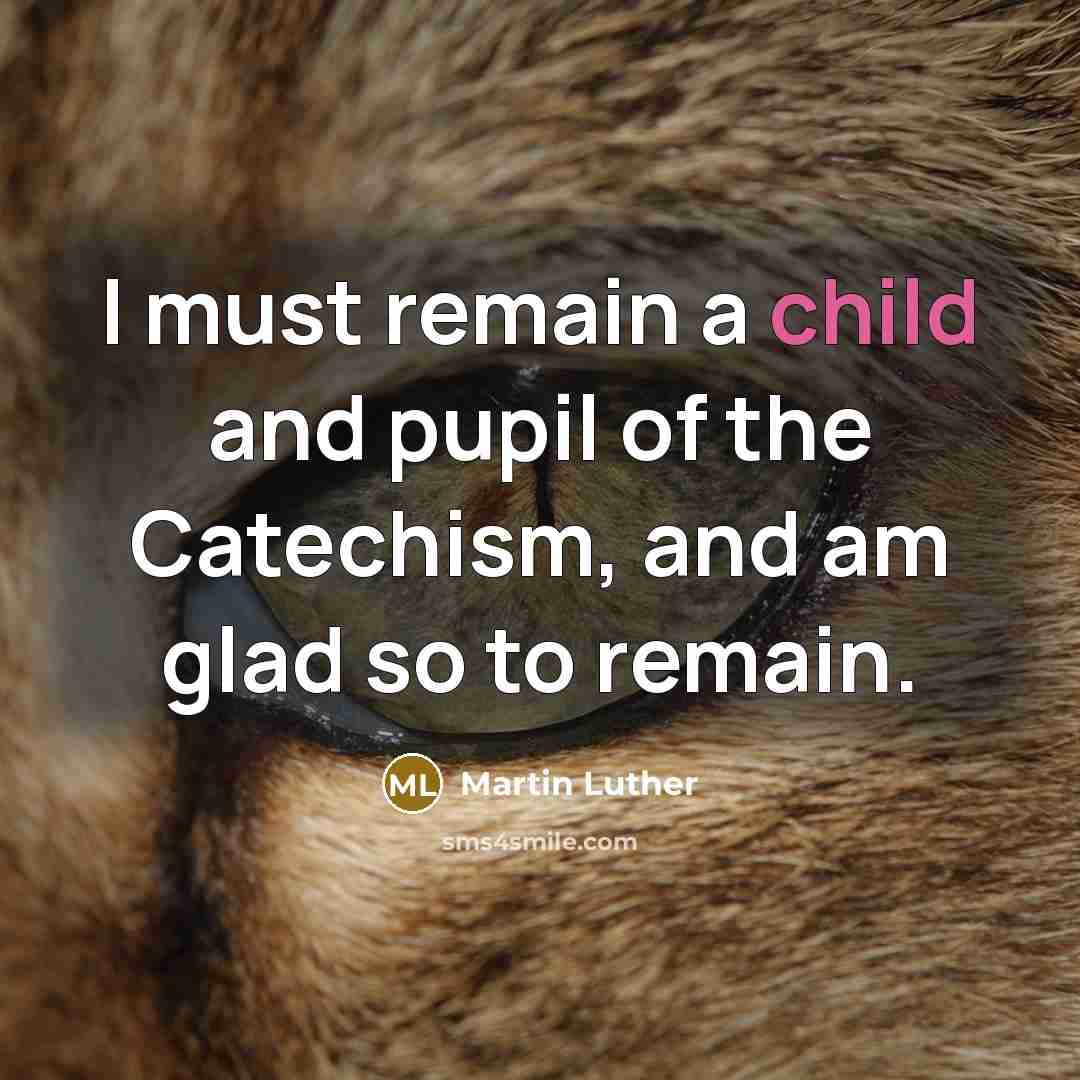 “I must remain a child and pupil of the Catechism,…” quote by Martin Luther