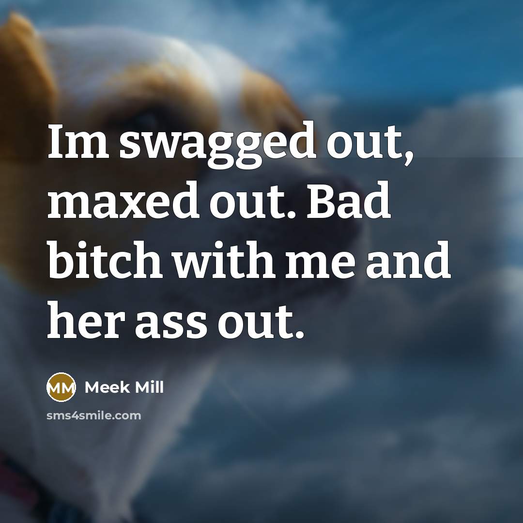 “Im swagged out, maxed out. Bad bitch with me and…” quote by Meek Mill