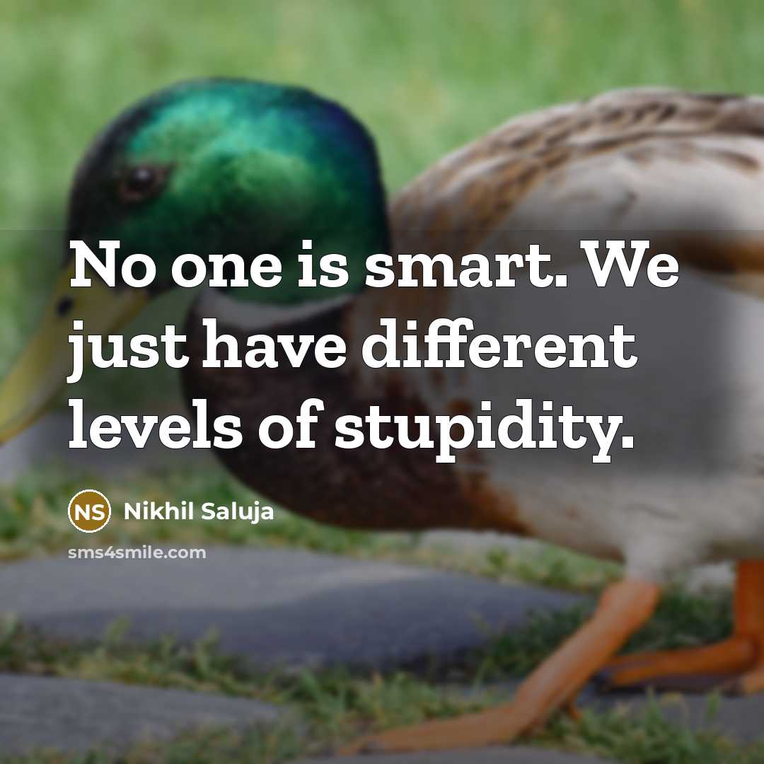 “No one is smart. We just have different levels of stupidity.” quote by Nikhil Saluja