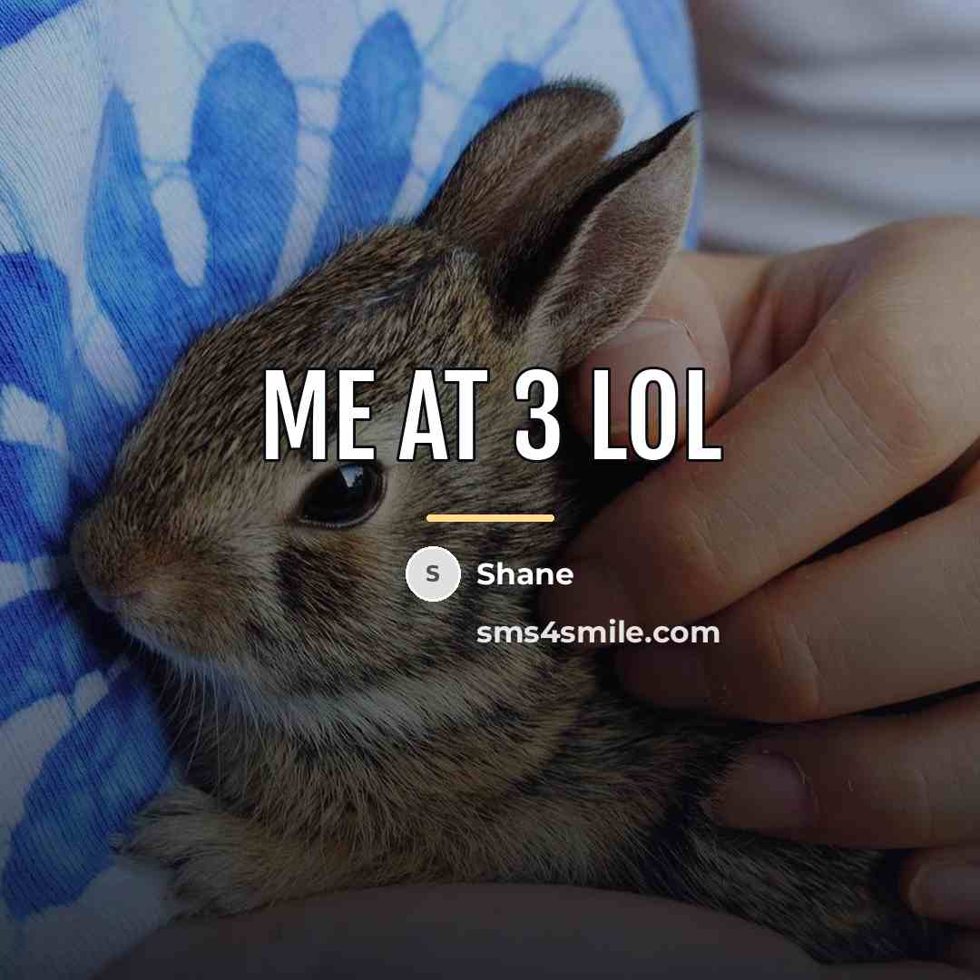 “Me at 3 lol…” quote by Shane
