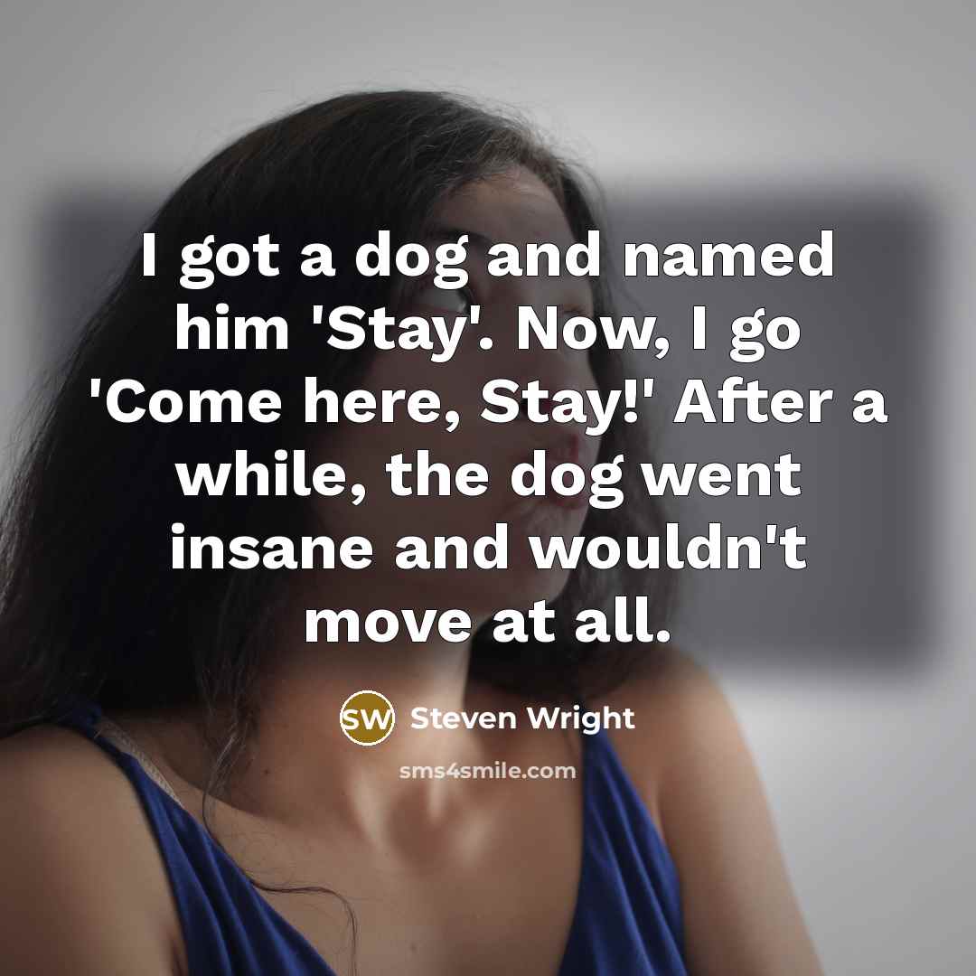 “I got a dog and named him 'Stay'. Now, I…” quote by Steven Wright