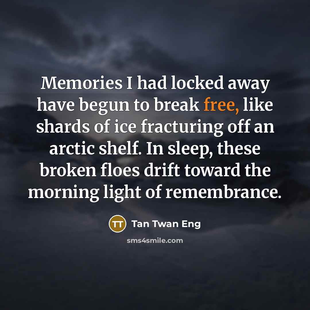 “Memories I had locked away have begun to break free,…” quote by Tan Twan Eng
