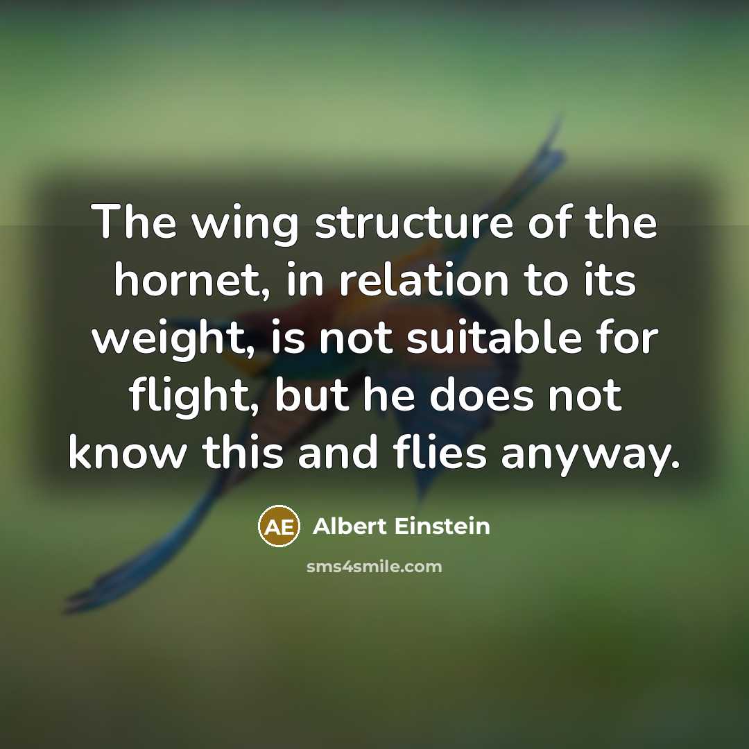 “The wing structure of the hornet, in relation to its…” quote by Albert Einstein