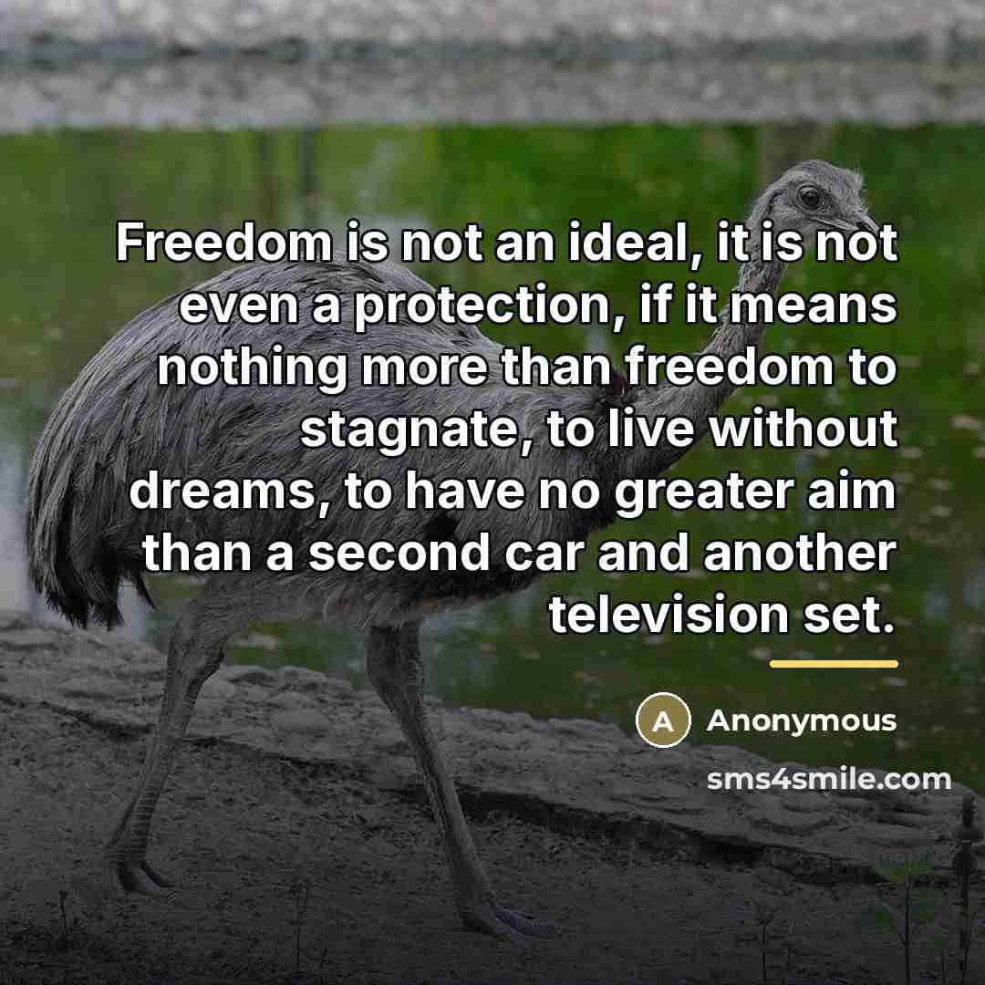 “Freedom is not an ideal, it is not even a…” quote by Anonymous