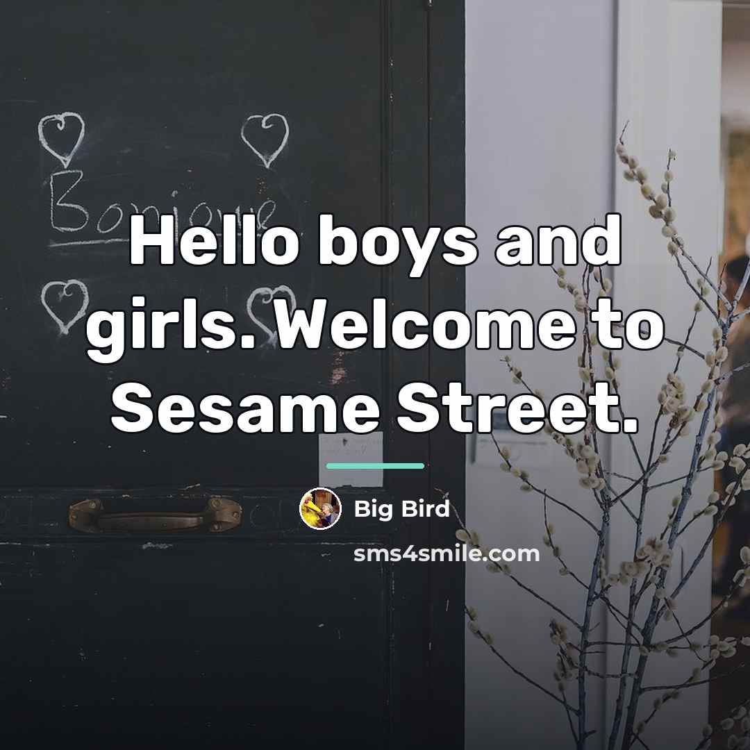 “Hello boys and girls. Welcome to Sesame Street.…” quote by Big Bird