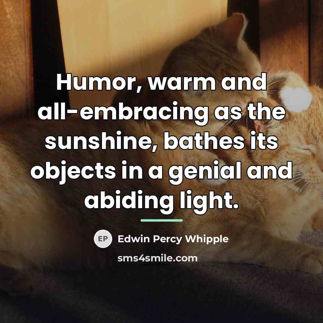 “Humor, warm and all-embracing as the sunshine, bathes its objects…” quote by Edwin Percy Whipple