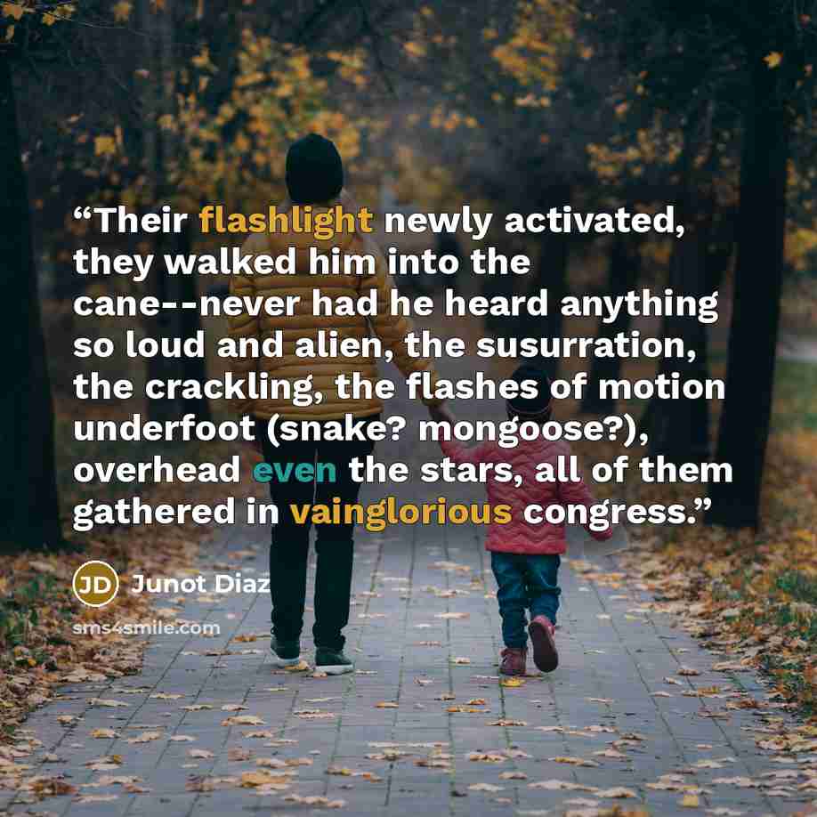 “Their flashlight newly activated, they walked him into the cane--never had he heard anything so loud and alien, the susurration, the crackling, the flashes of motion underfoot (snake? mongoose?), overhead even the stars, all of them gathered in vainglorious congress.” quote by Junot Díaz