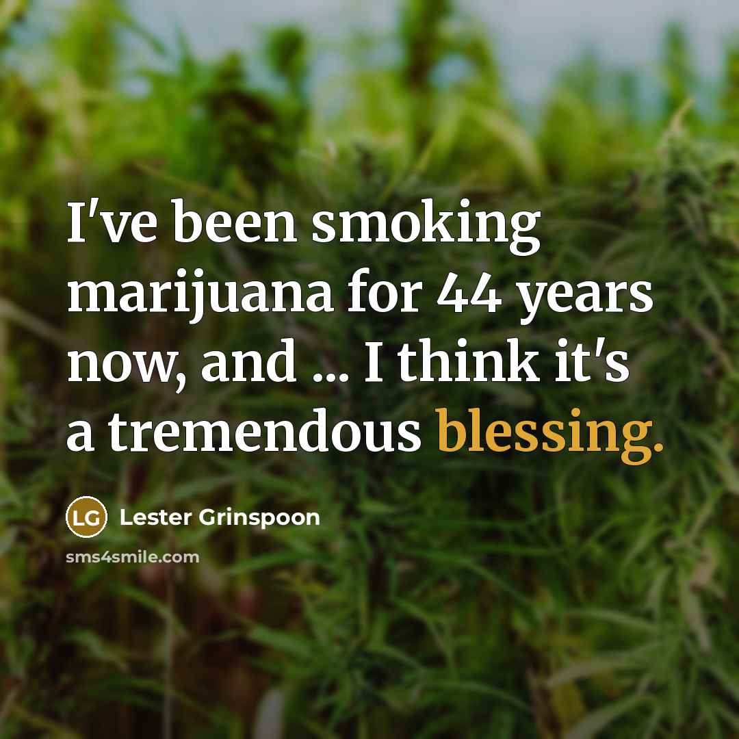 “I've been smoking marijuana for 44 years now, and ...…” quote by Lester Grinspoon