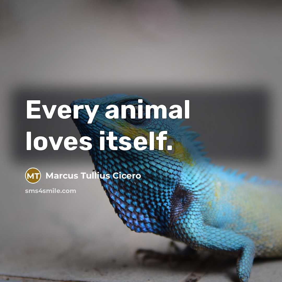 “Every animal loves itself.…” quote by Marcus Tullius Cicero
