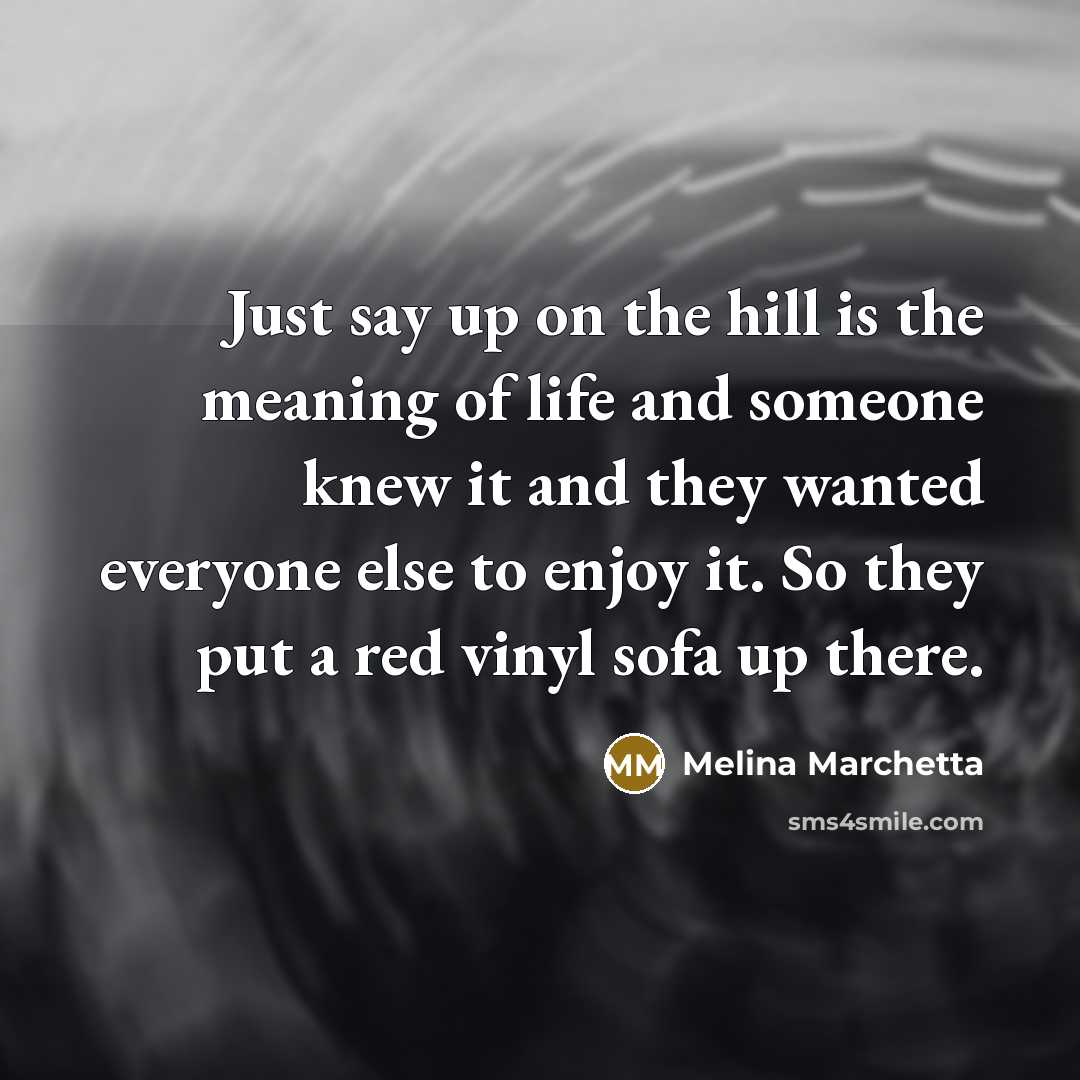 “Just say up on the hill is the meaning of…” quote by Melina Marchetta