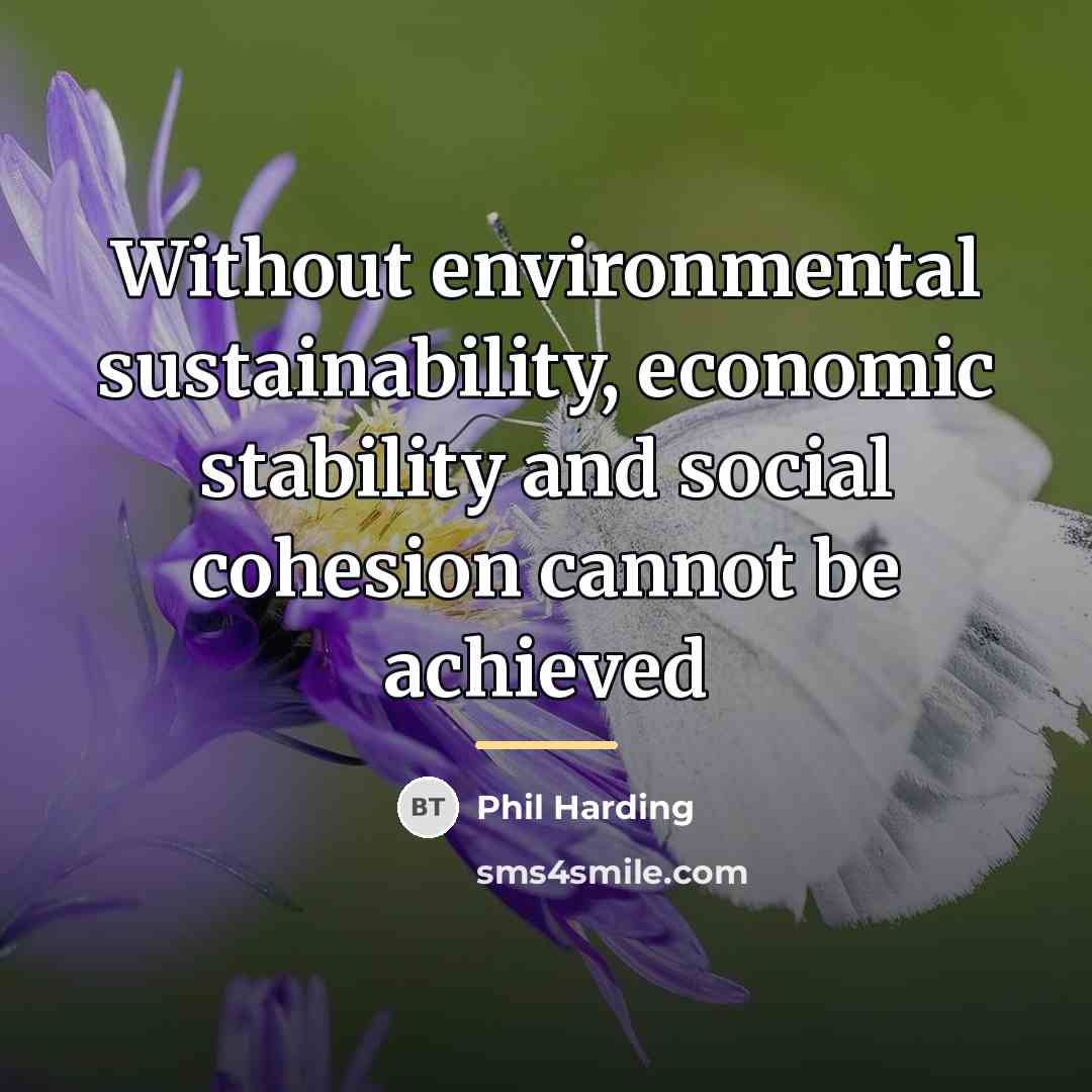 “Without environmental sustainability, economic stability and social cohesion cannot be…” quote by Phil Harding