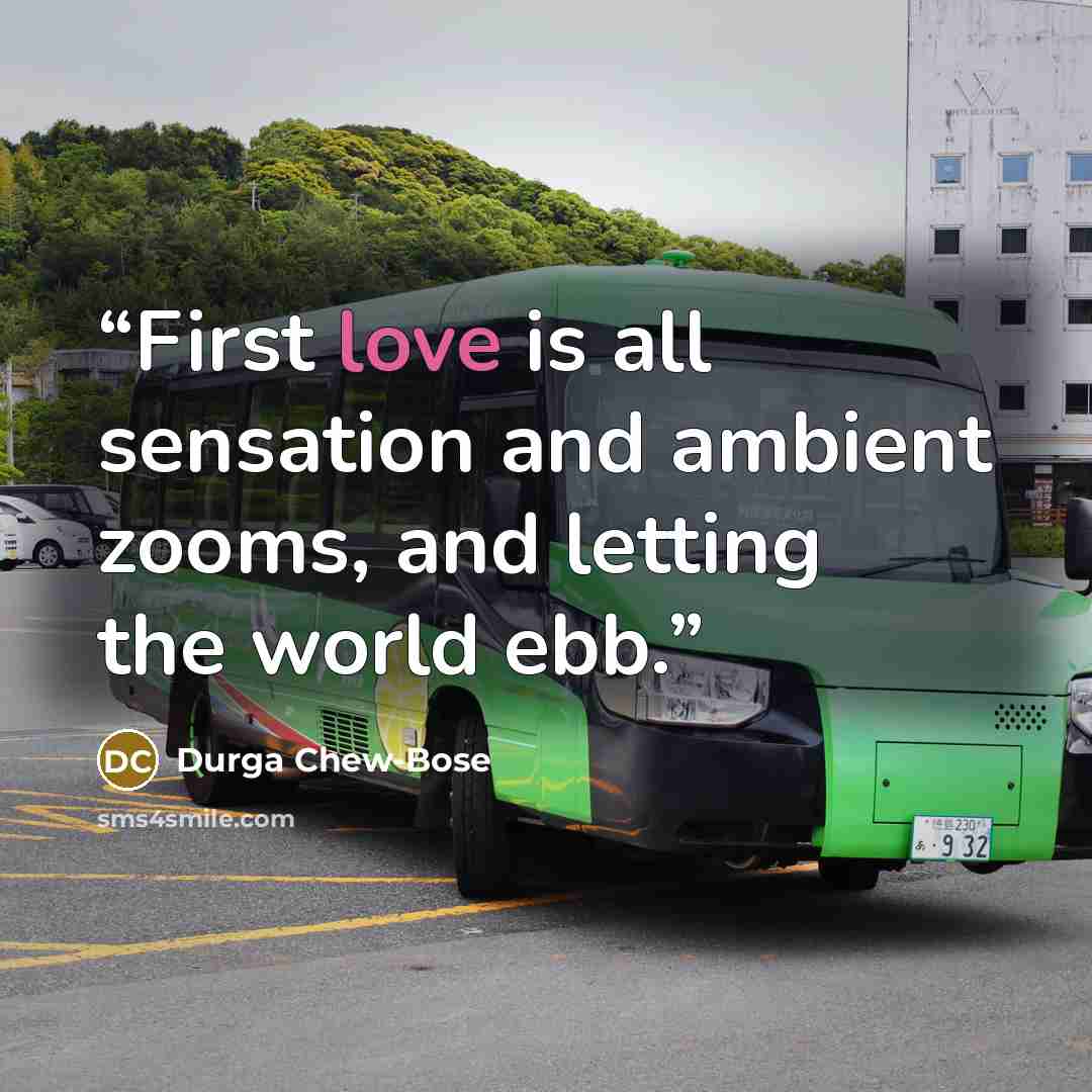 “First love is all sensation and ambient zooms, and letting the world ebb.” quote by Durga Chew-Bose