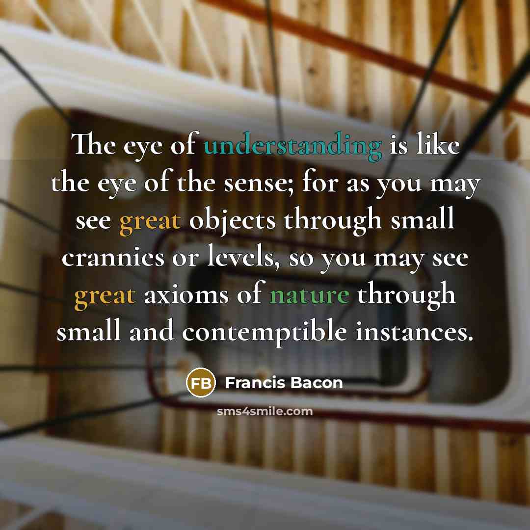 “The eye of understanding is like the eye of the…” quote by Francis Bacon