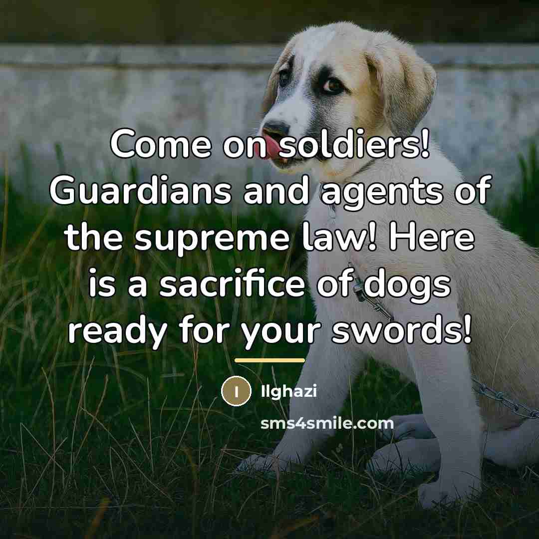 “Come on soldiers! Guardians and agents of the supreme law!…” quote by Ilghazi