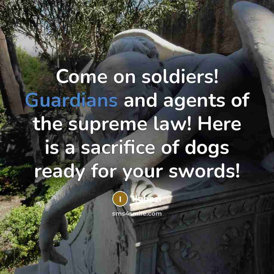 “Come on soldiers! Guardians and agents of the supreme law! Here is a sacrifice of dogs ready for your swords!” quote by Ilghazi