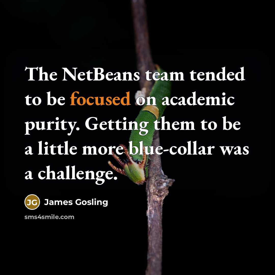 “The NetBeans team tended to be focused on academic purity.…” quote by James Gosling