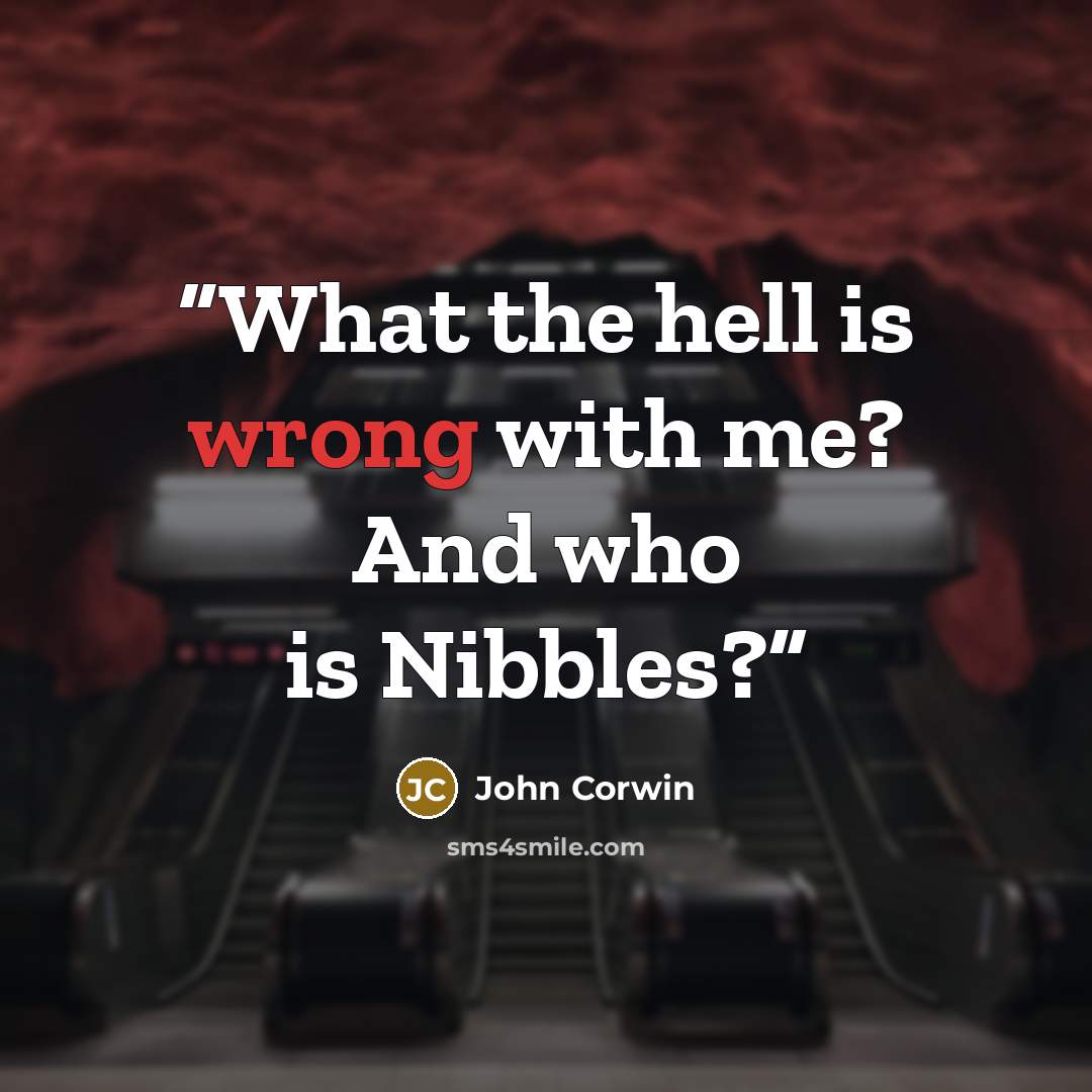 “What the hell is wrong with me? And who is Nibbles?” quote by John Corwin