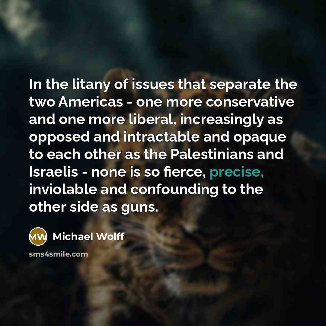 “In the litany of issues that separate the two Americas…” quote by Michael Wolff