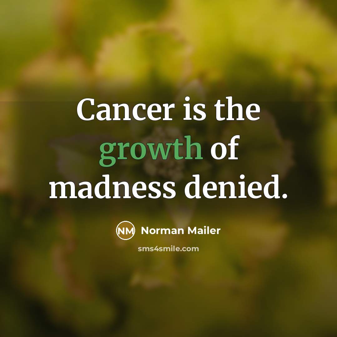 “Cancer is the growth of madness denied.…” quote by Norman Mailer