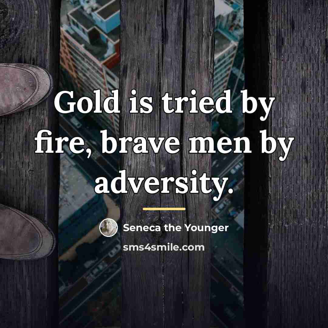 “Gold is tried by fire, brave men by adversity.…” quote by Seneca the Younger
