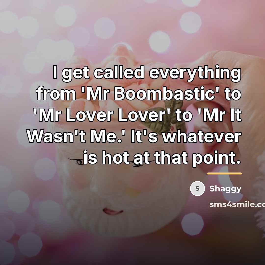 “I get called everything from 'Mr Boombastic' to 'Mr Lover…” quote by Shaggy