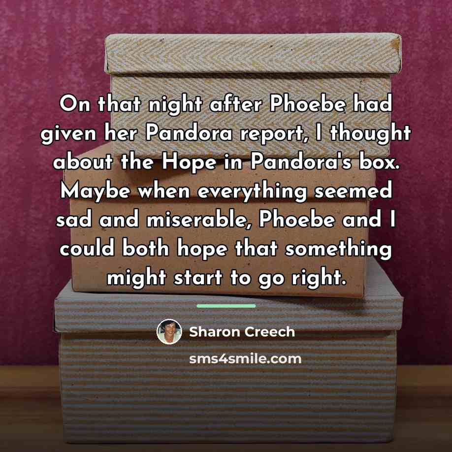 “On that night after Phoebe had given her Pandora report,…” quote by Sharon Creech