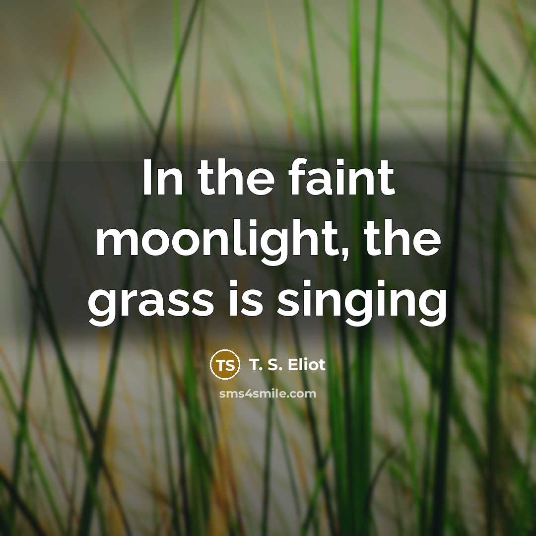 “In the faint moonlight, the grass is singing…” quote by T. S. Eliot