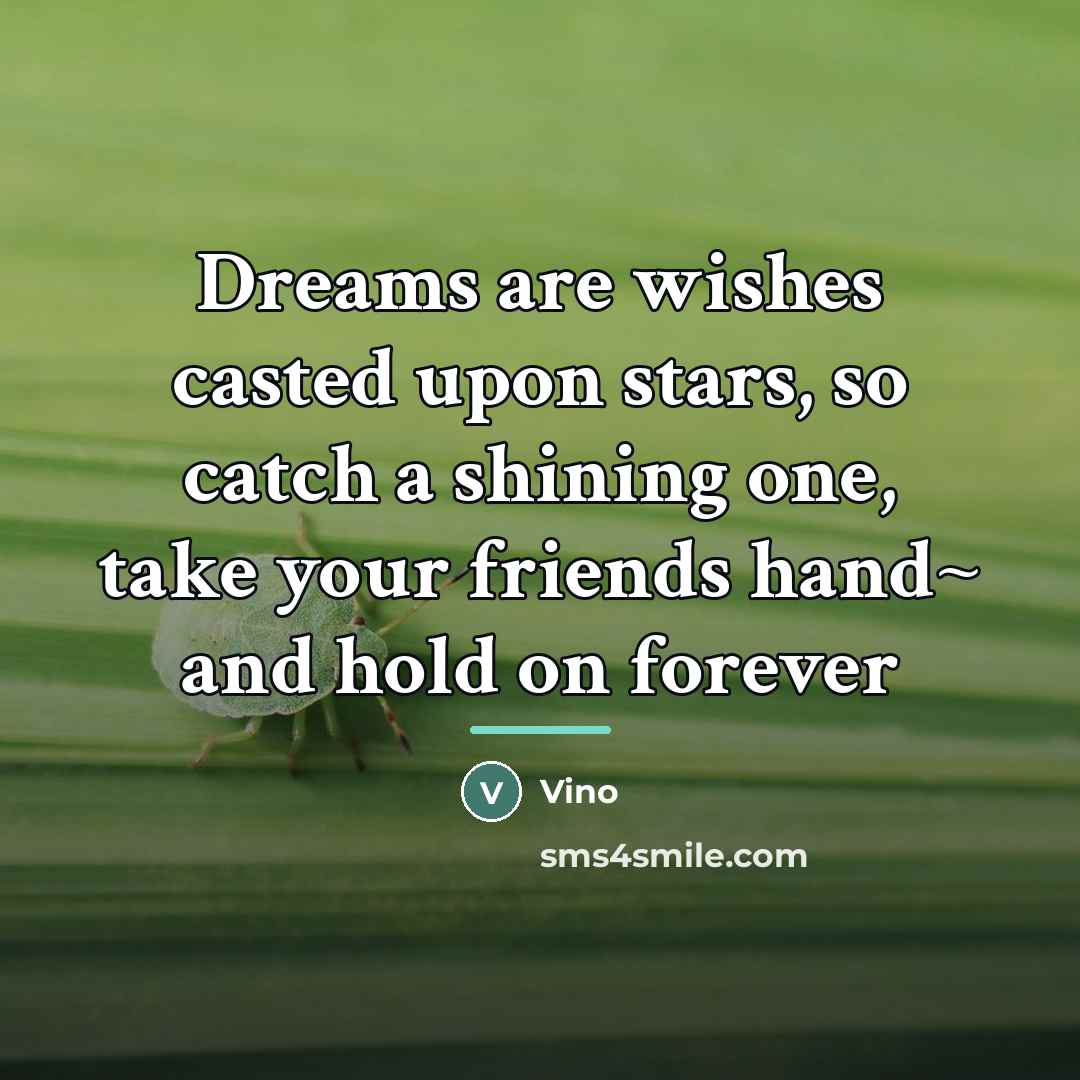 “Dreams are wishes casted upon stars, so catch a shining…” quote by Vino