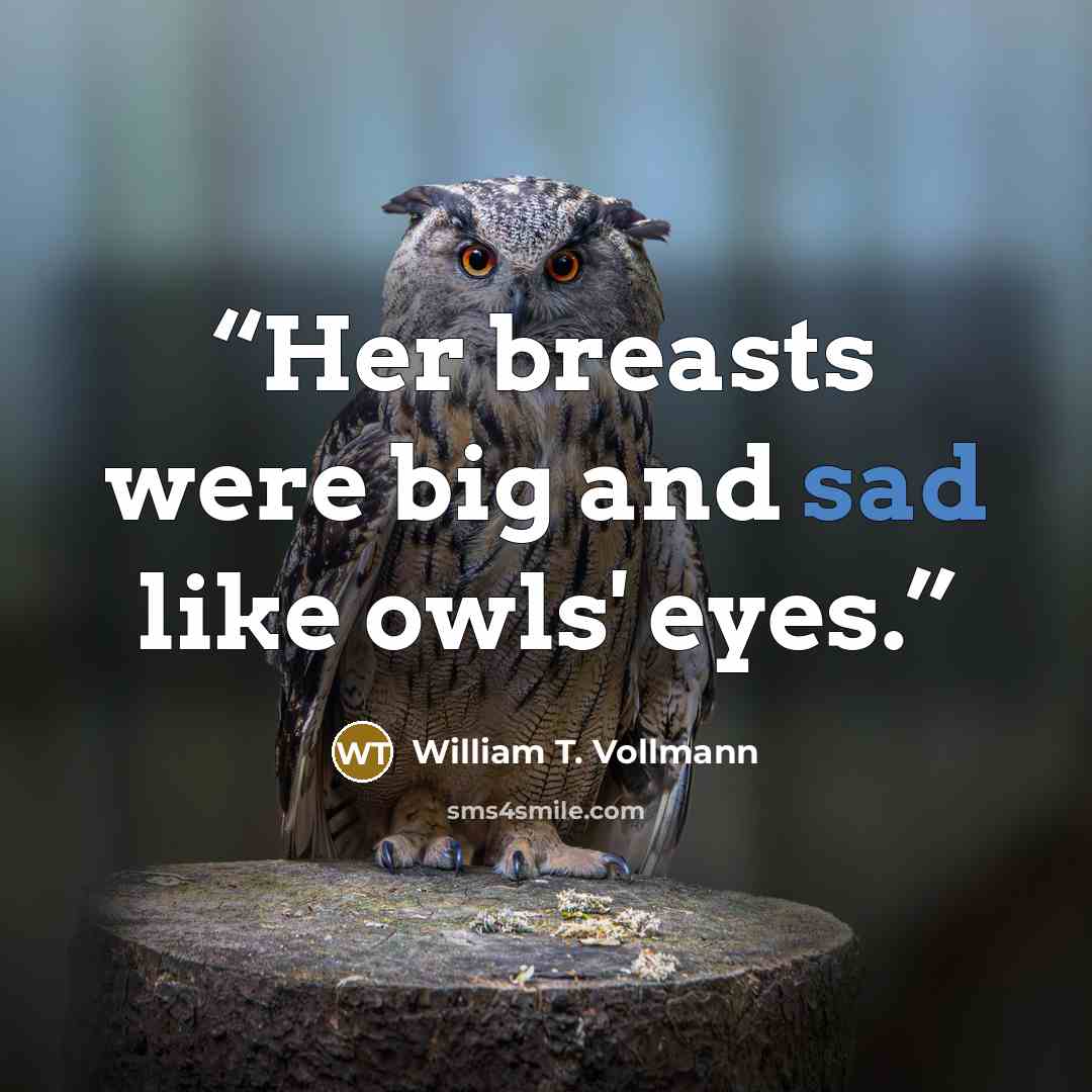 “Her breasts were big and sad like owls' eyes.” quote by William T. Vollmann